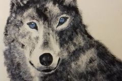 Wolf-Acryl